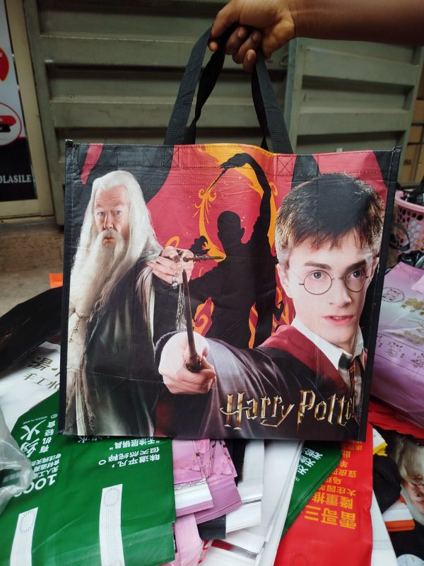 packaging shopping bag 003/6pcs


BIGGEST SIZE