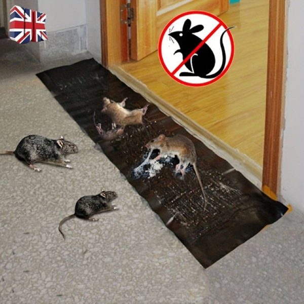 STICKY RODENT TRAPPER .