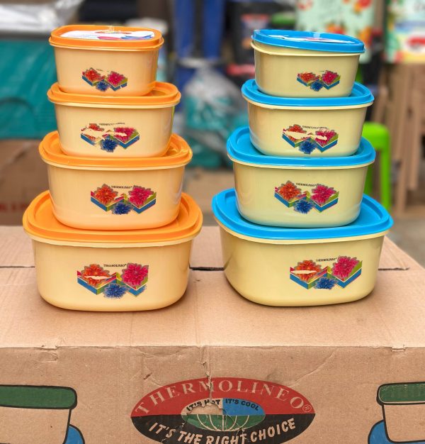 4 in 1 popular storage container