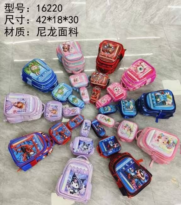 3 IN 1 STANDARD  SCHOOL  BAG
