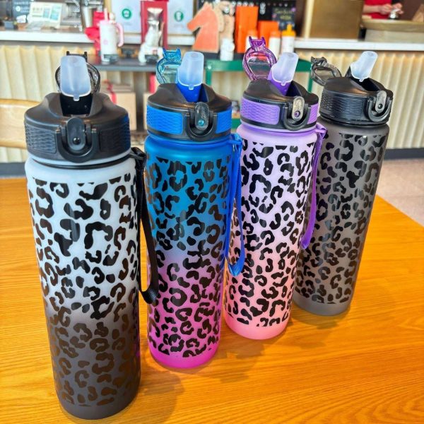 FASHIONABLE GRADIENT WATER BOTTLE