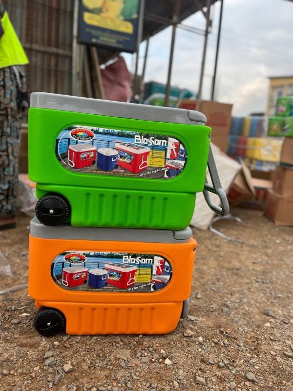 BLOSSOM 36 PARTY COOLER