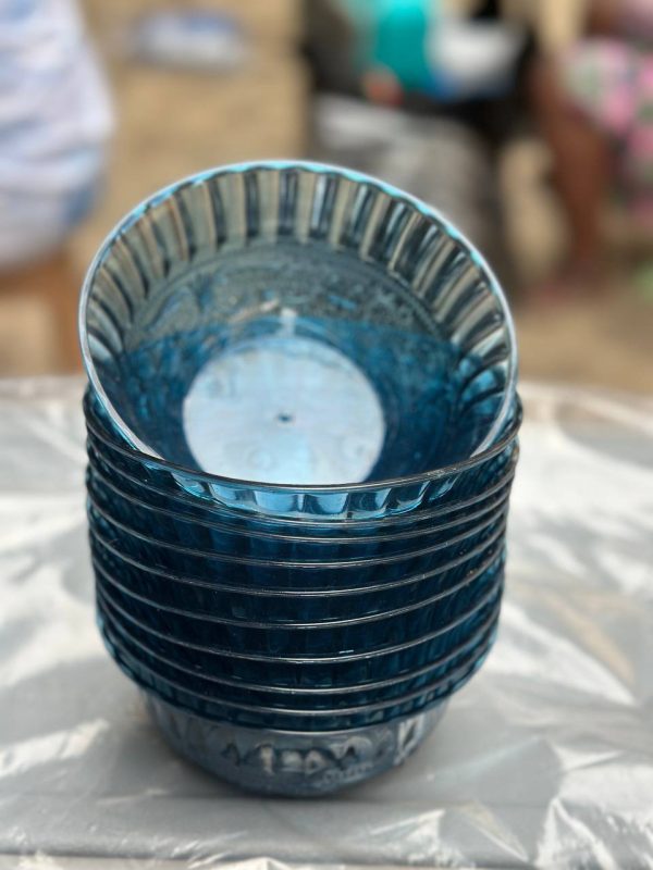 B70 acrylics bowl
