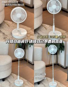 LONG POLE RECHARGEABLE FAN