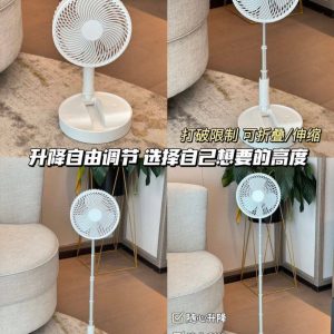 LONG POLE RECHARGEABLE FAN